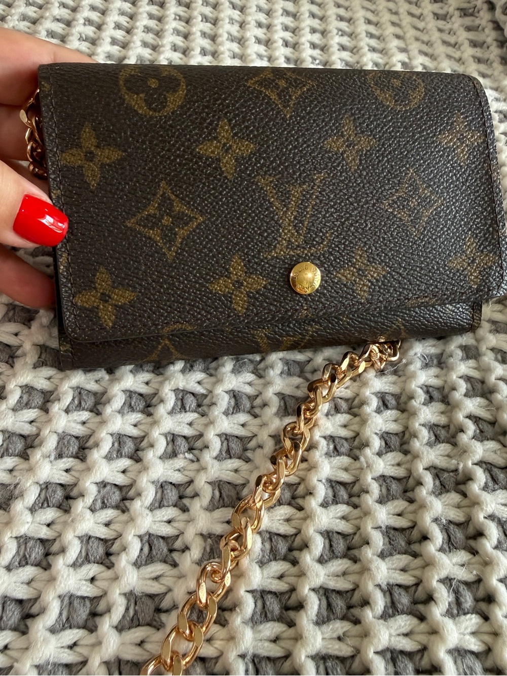 Louis Vuitton Monogram Mini Wallet Crossbody in Brown with Gold Chain